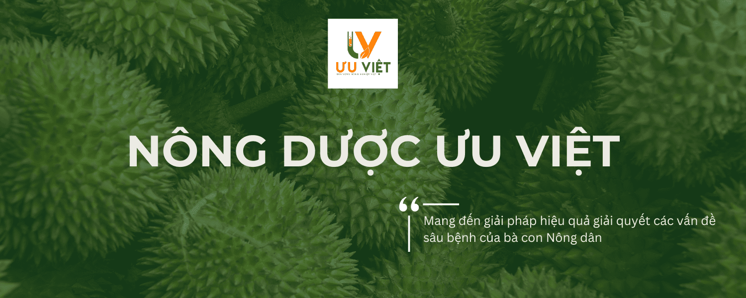 nong duoc uu viet
